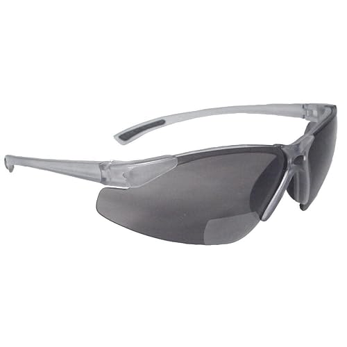 Radians C2-225 Lentes de seguridad de lectura bifocal con lente ahumada 2.5