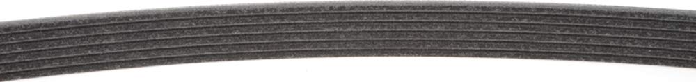 Mitsuboshi Correa de Transmisión de Accesorios 6PK2135 para Acura, Chrysler, Dodge, Ford, Honda, Negro