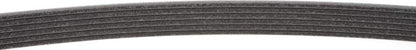 Mitsuboshi Correa de Transmisión de Accesorios 6PK2135 para Acura, Chrysler, Dodge, Ford, Honda, Negro