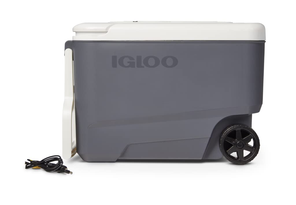 Igloo 35 QT versatemp Rolling versatemp enfriador de viaje sin hielo