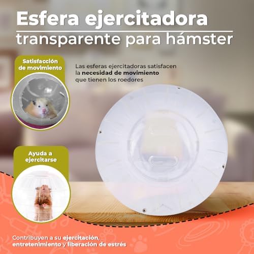 Red Kite Esfera Ejercitadora para Hámpster, Ratones, Ratas, Cuyos y Pequeños Mamíferos, Mediana de Plástico Transparente con 18 centímetros de Diámetro