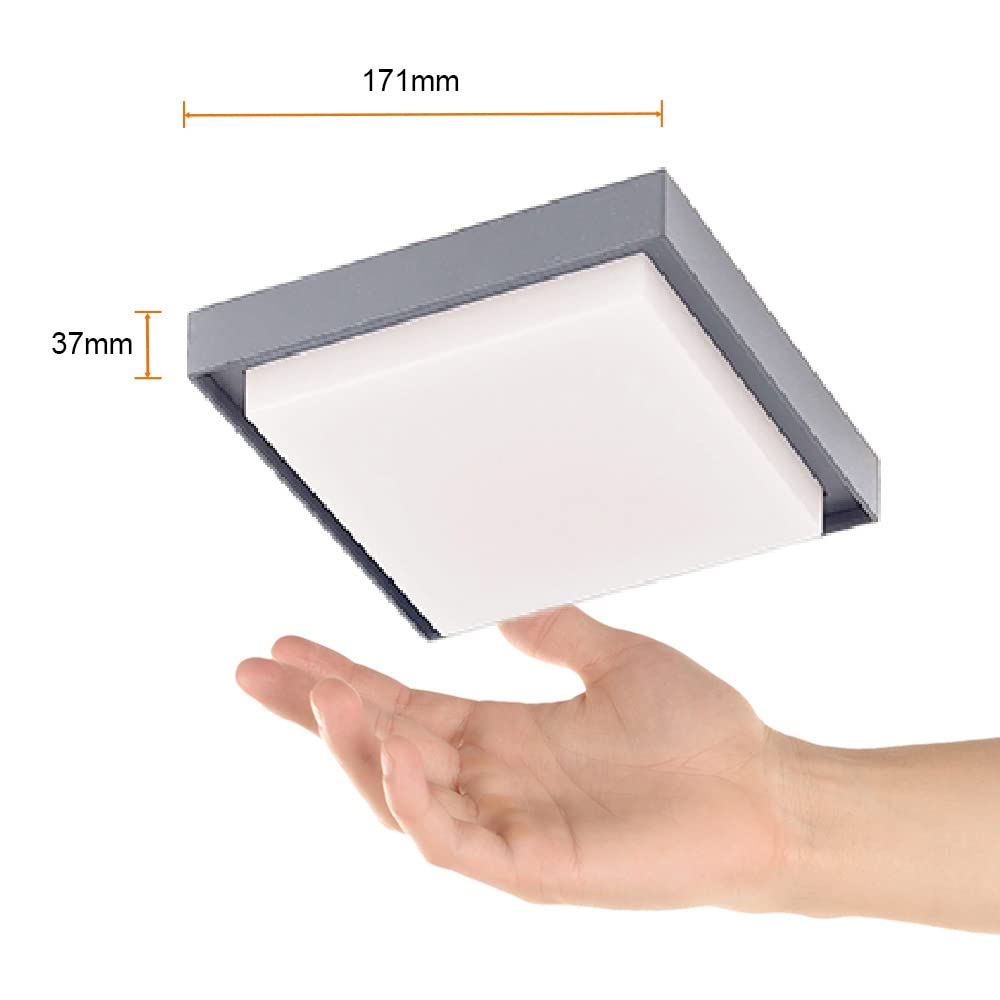 Tecnolite Lámpara LED de Techo para Sobreponer Luz Suave Cálida 3000 k Tecnolite