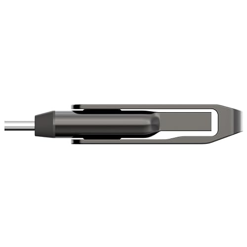 Lexar Unidad Dual JumpDrive D400 USB 3.1 Tipo C y Tipo A, hasta 130 MB/s de Lectura (LJDD400064G-BNQNU)