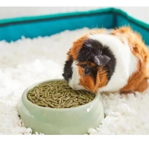 Mazuri Alimento para Cuyos, Chinchillas y hámsters 1.3 kg
