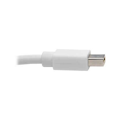 Tripp Lite P139-010-DP-V2B A/V Cable