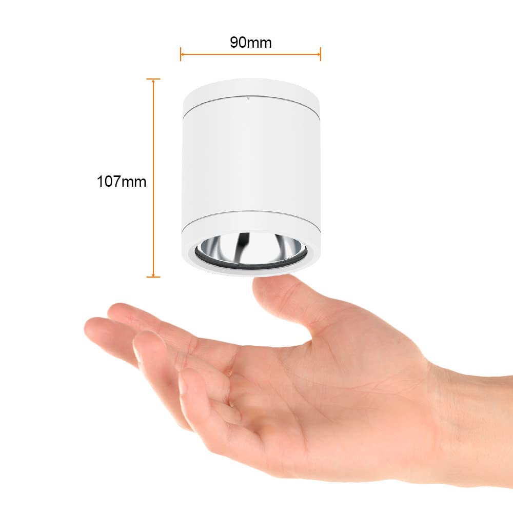 Tecnolite Lámpara Plafón LED de Sobreponer 15 W, Luz Blanca Configurable, IP65, IK08, Interior y Exterior, LED integrado