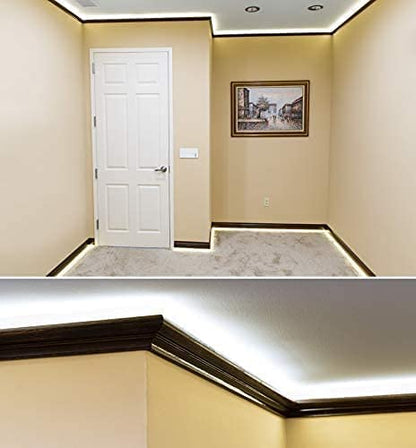 DOSYU Tira Neón Flex LED, 12V 16.4ft/5m Impermeable Flexible Cortable DIY 2835 Luces Led IP65 Decorativa para TV, Cuarto,Halloween, Fiesta de Navidad, con Adaptador(Blanco frio)