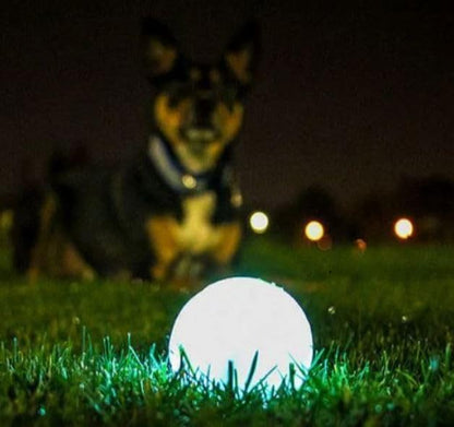 CHUCKIT Max Glow Balls for Pets (2 Pack), Medium, White