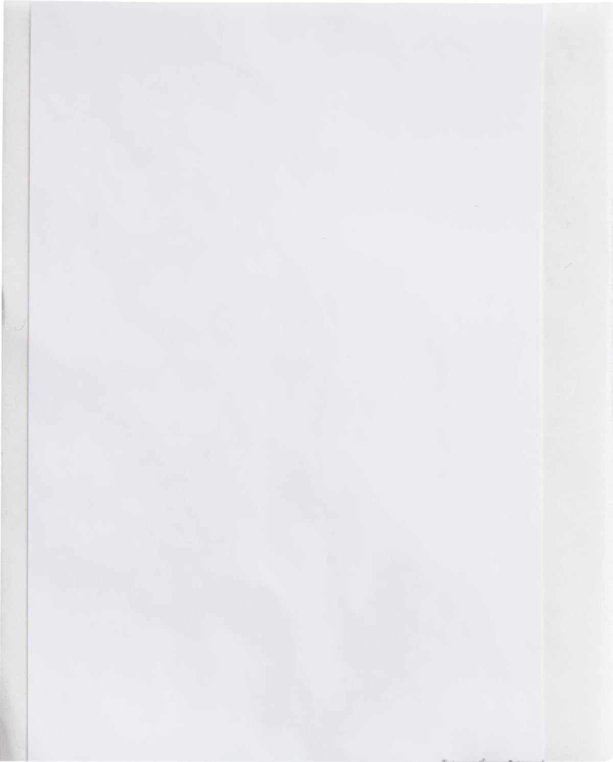 Brady Cinta adhesiva permanente de vinilo para todo tipo de clima para impresoras M610, M611, M710, BMP61 y BMP71, 2 pulgadas x 50 pies, color blanco. M6C-2000-595-WT