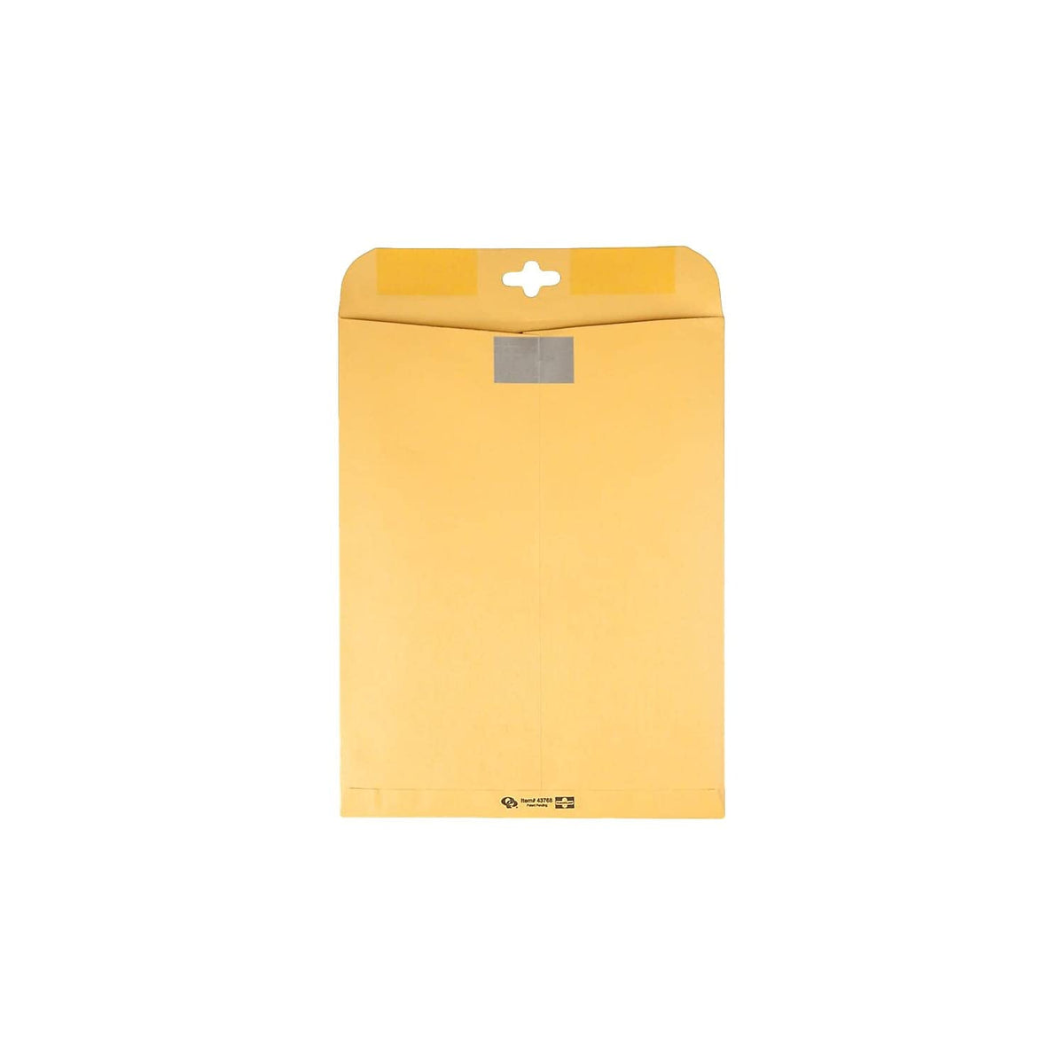 Quality Park - Sobres con cierre transparente, 10 pulgadas x 13 pulgadas, Kraft, 100 unidades (43768)