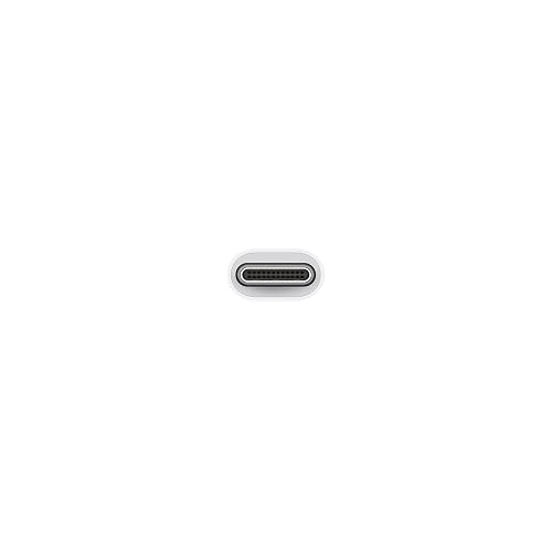 Apple Adaptador de USB-C a USB ​​​​​​​