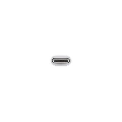 Apple Adaptador de USB-C a USB ​​​​​​​