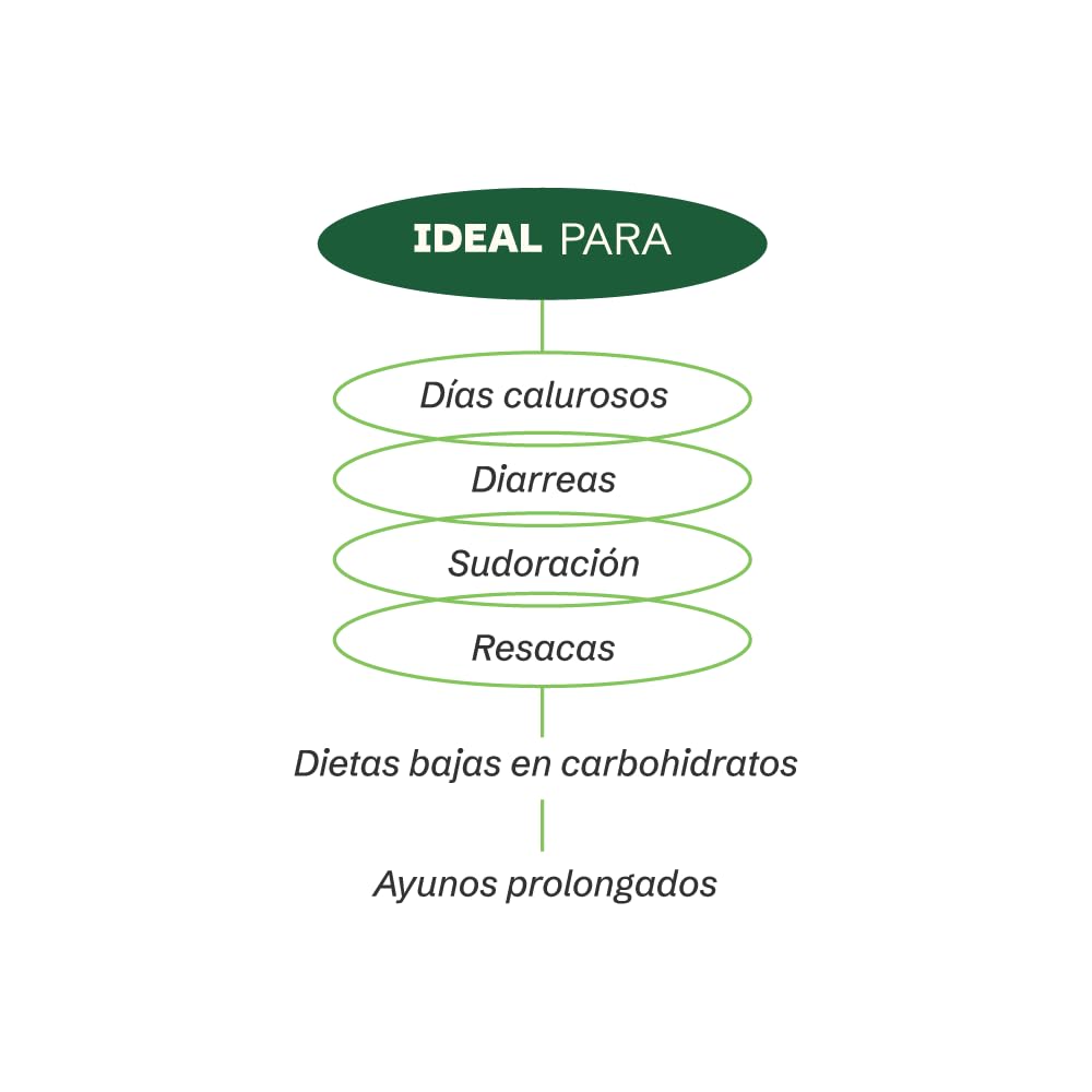 FLORA 01 | Mineral | Suplemento Alimenticio de Electrolitos Esenciales | Magnesio, Potasio y Minerales Naturales | Hidratación Diaria | Sabor Limón | 30 servicios.