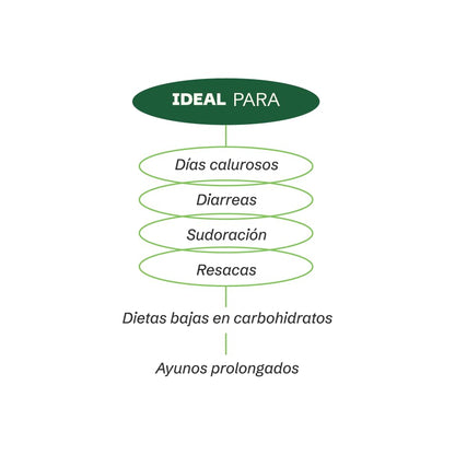 FLORA 01 | Mineral | Suplemento Alimenticio de Electrolitos Esenciales | Magnesio, Potasio y Minerales Naturales | Hidratación Diaria | Sabor Limón | 30 servicios.