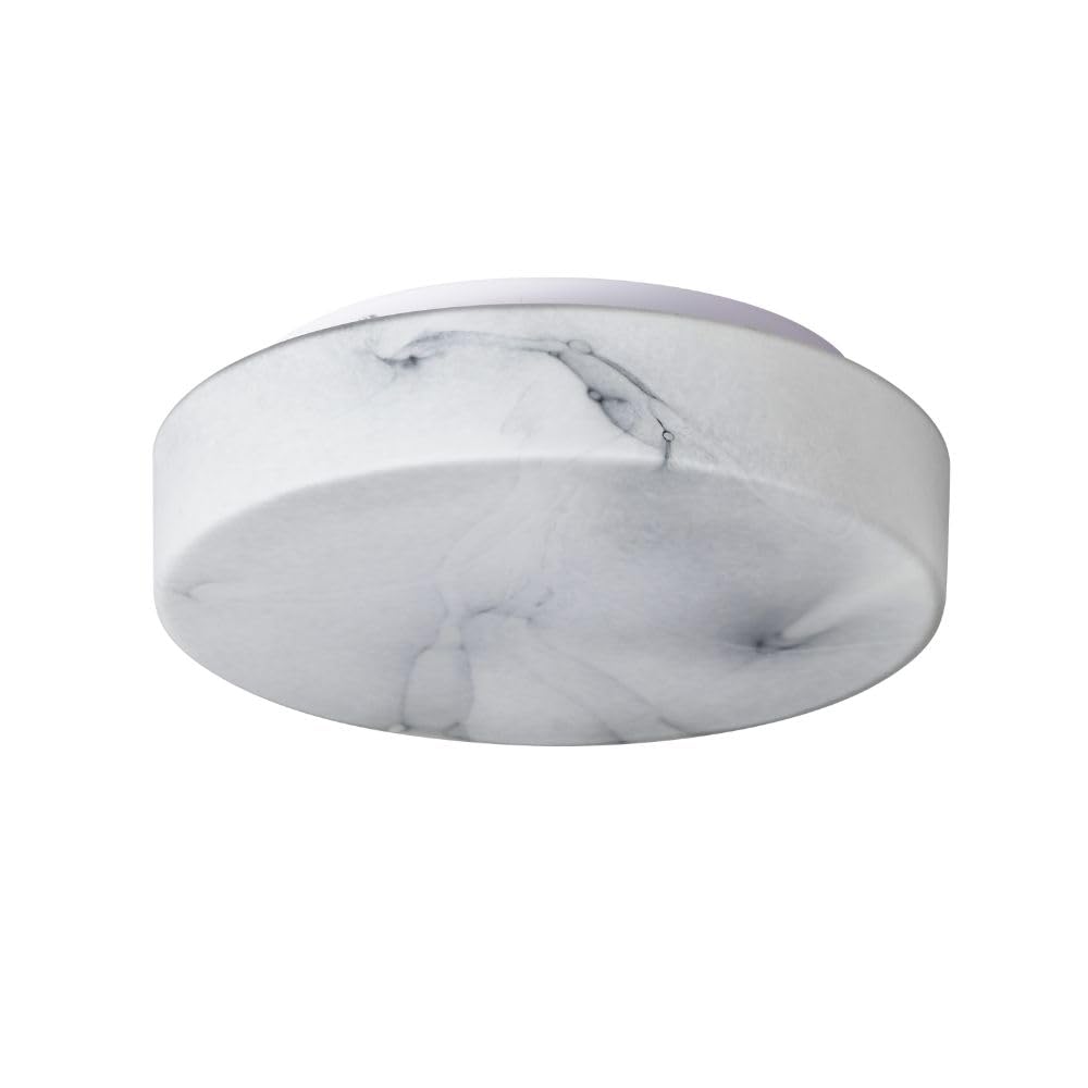 Tecnolite - Lámpara de Techo Plafón LED 27 W, Luz Blanca Ajustable, No atenuable