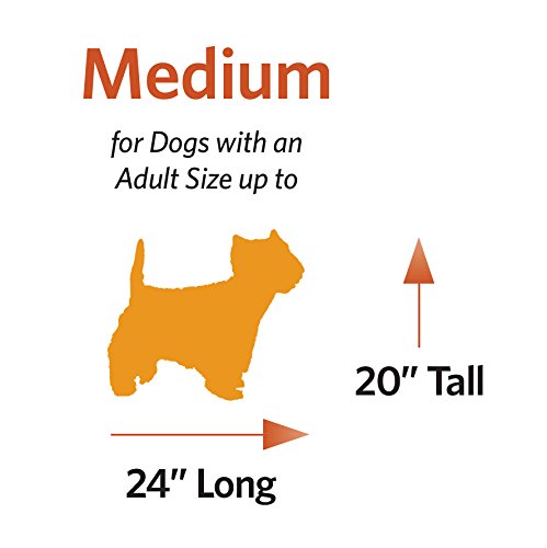 MidWest Homes for Pets Maxx - Cama para Perros de Metal, 76 cm, Color Negro