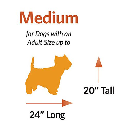 MidWest Homes for Pets Maxx - Cama para Perros de Metal, 76 cm, Color Negro