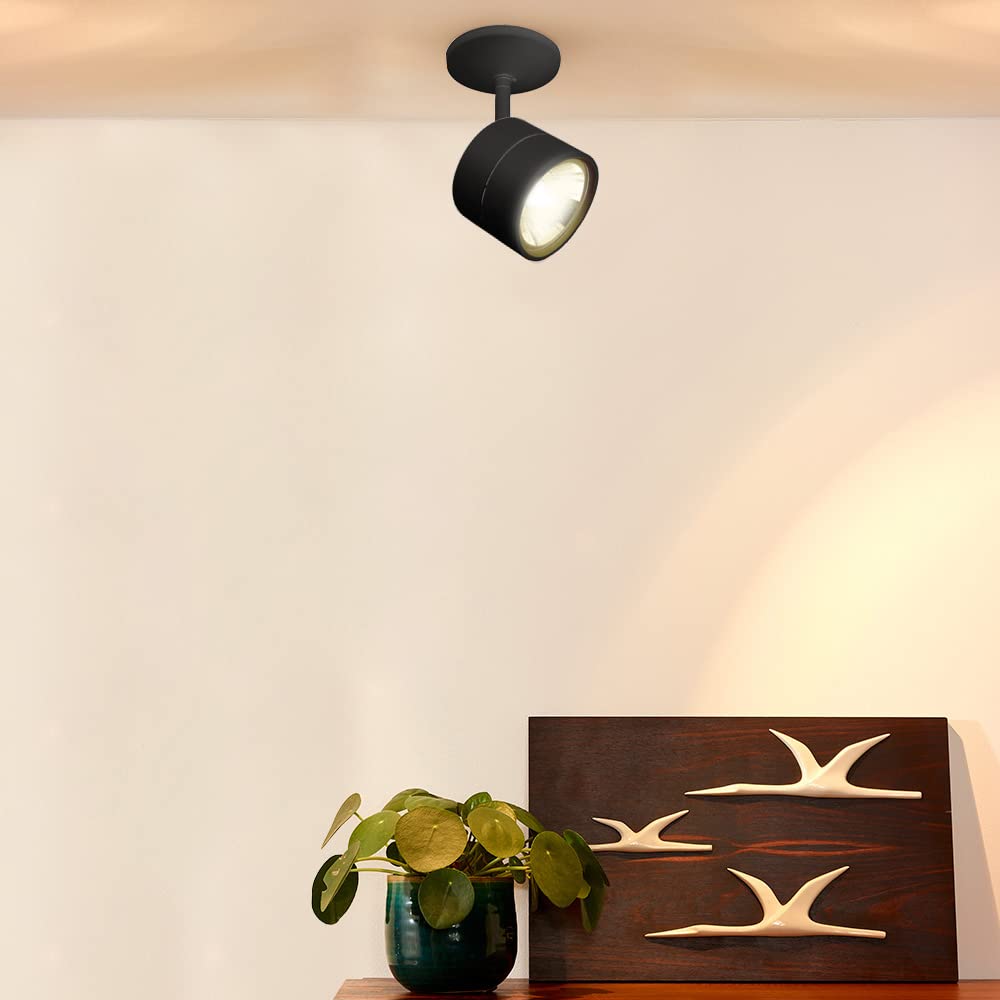 Tecnolite Lámpara Spot de Sobreponer Dirigible Potencia Máx. 60 W, Base G53, Interiores, No incluye foco