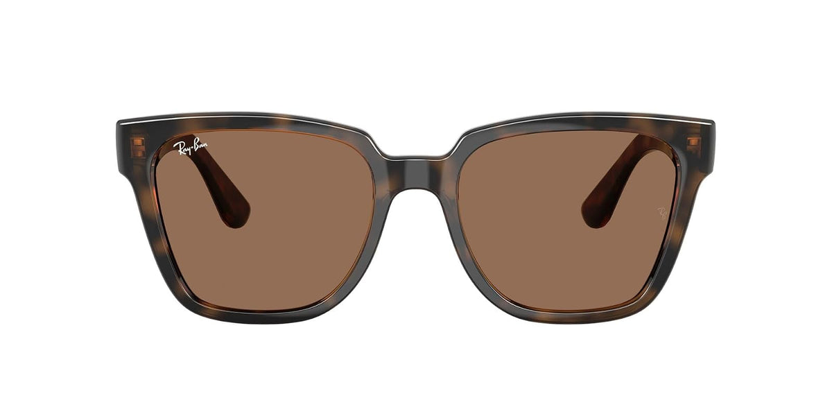 Ray-Ban Gafas de sol RB 4437 L 710/73 Dark Havana/Full Brown Policarbonato Stand