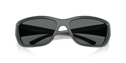 ARNETTE Sunglasses AN 4353 290087 Black/Dark Grey Policarbonate Standard
