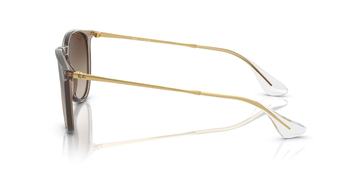 Ray-Ban Rb4171 Erika Round Sunglasses