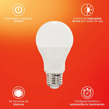 Kit de 3 focos LED Inteligentes,Tecnolite KIT GLOW SMART, CCT Atenuble + Foco Inteligente LED, COLORS SMART, 8 W, Base E27, Luz de Colores, Compatible con Connect App Compatible con Alexa