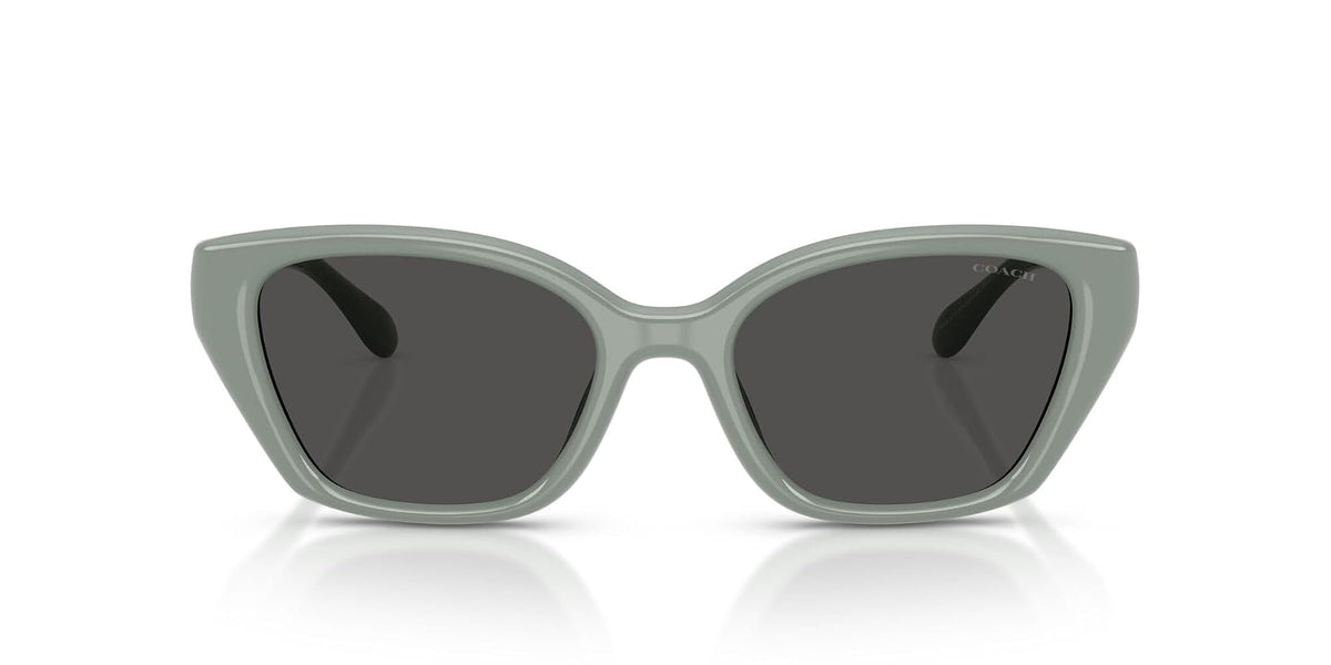 COACH Hc8434u Universal Fit Gafas Mujer
