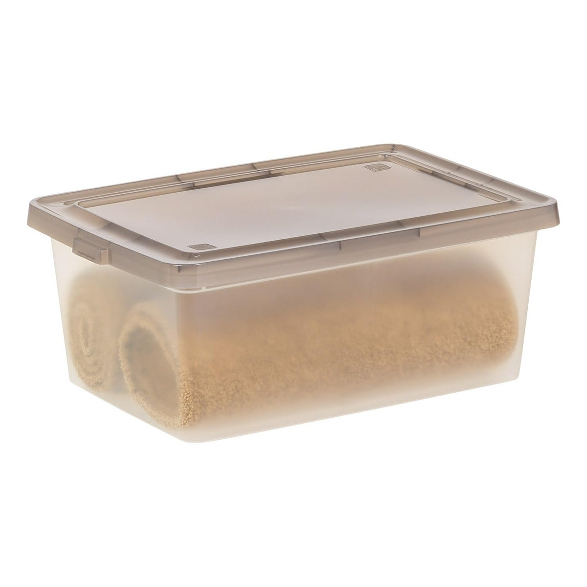 IRIS USA Caja Clara/Gris, Plástico con Tapa, Paquete de 6, para Zapatos, Estantes, Maestros, Juegos, Clara/Gris