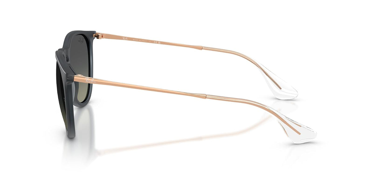 Ray-Ban RB4171 Erika Round Sunglasses