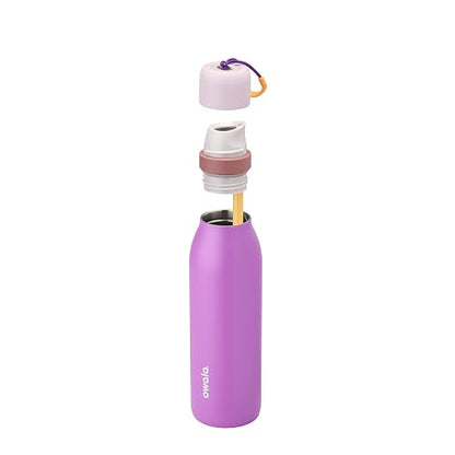 Owala FreeSip - Botella de agua de acero inoxidable con popote para deportes y viajes, sin BPA, 18 onzas, morado (California Grapevine)
