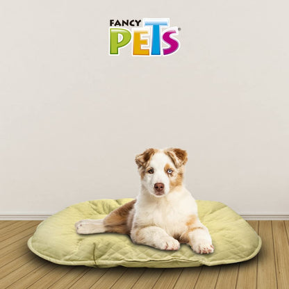 Fancy Pets Cojín Grande para Cama de Plástico – 77 x 51 cm, Tela Suave y Resistente, Descanso Cómodo para Perros, Colores Surtidos