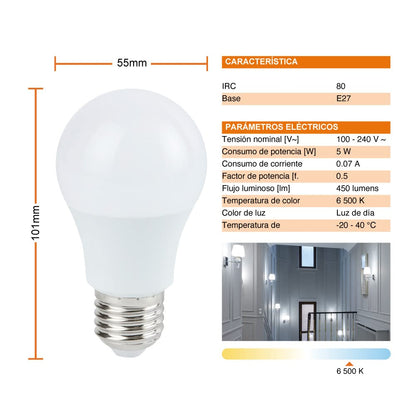 Tecnolite - Paquete de 10 Focos Ahorradores, Foco LED A19, Color Blanco 5 W, Base E27, 450 lumens, Luz de Día 6500 K, 100 - 240 V, Protegidos en Caja Individual