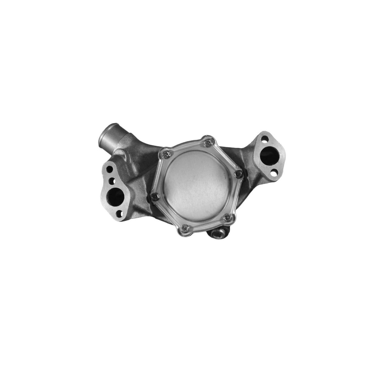 ACDelco Gold Bomba de Agua para Motor 252-719