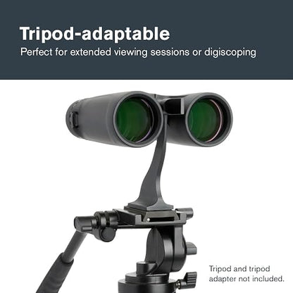 Celestron – Outland X 8x42 – Waterproof & Fogproof – for Adults – Multi-Coated Optics and BaK-4 Prisms – Protective Rubber Armoring