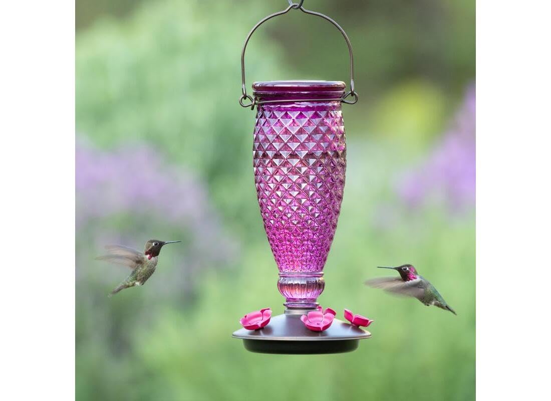 Perky-Pet 9102-1SR - Alimentador de colibrí de Vidrio con Relleno de Diamante Morado con Protectores de Abeja Integrados, decoración de jardín al Aire última intervensión, 24 onzas