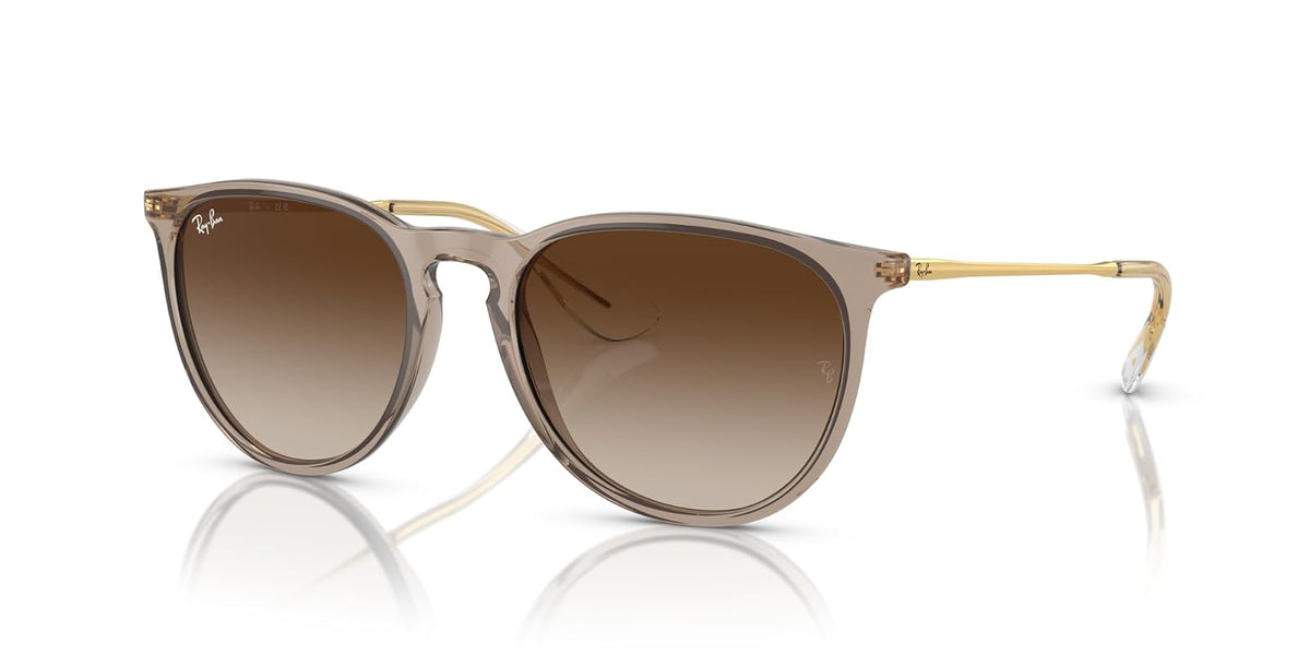 Ray-Ban Rb4171 Erika Round Sunglasses