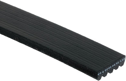 ACDelco Gold Correa Serpentina Acanalada en V Estándar 5K694, Negro