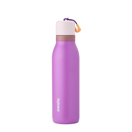 Owala FreeSip - Botella de agua de acero inoxidable con popote para deportes y viajes, sin BPA, 18 onzas, morado (California Grapevine)