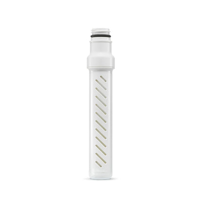LifeStraw Go Series - Microfiltro de membrana de repuesto para botella de agua con filtro de carbono incluido