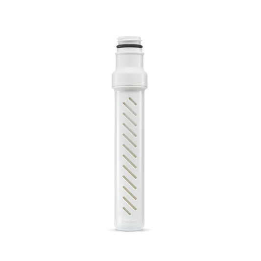 LifeStraw Go Series - Microfiltro de membrana de repuesto para botella de agua con filtro de carbono incluido