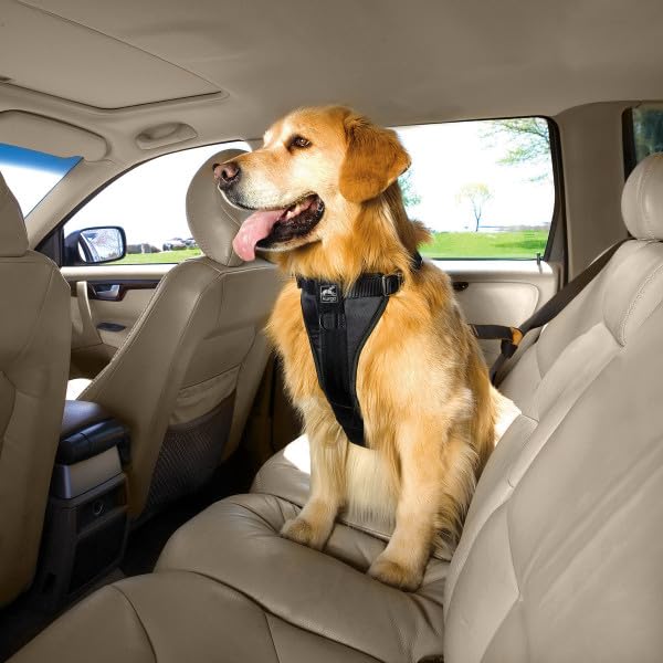 Kurgo Dog Harness | Car Harness for Dogs | Medium | Black | Pet Safety Seat Belt | Certified Crash Tested Harness | Car Seatbelt | Tru-Fit Enhanced Strength Style