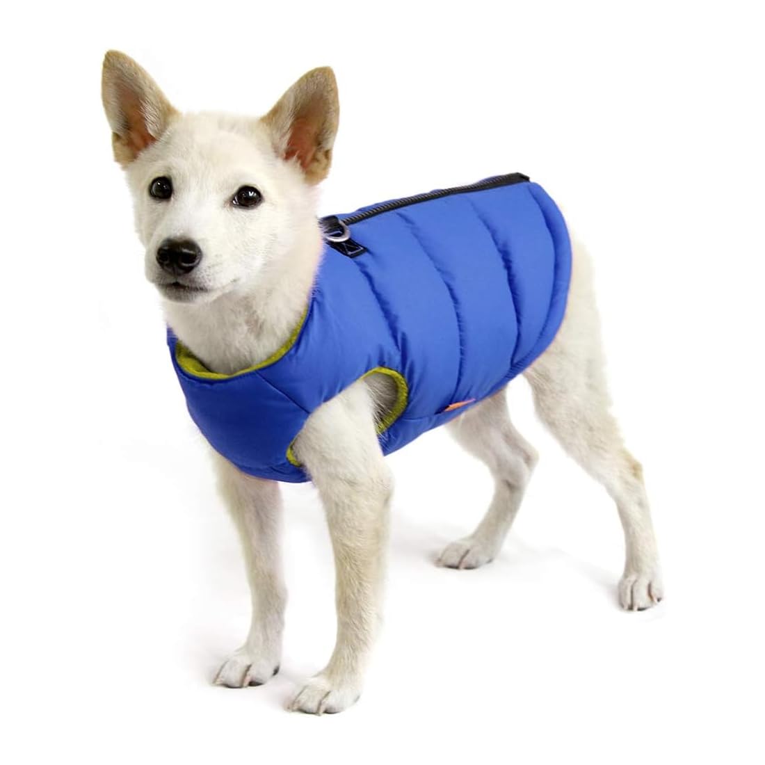 Gooby Chaleco Acolchado con Cierre para Perro - Medium chest (~18.5") - Azul sólido