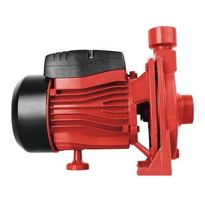 Igoto CPM146 D Bomba de Agua Centrífuga 3/4 HP 127V Bomba Eléctrica para Tinaco Cisterna Riego y Alberca Altura Máx. 28 m Flujo hasta 92 L/min Impulsor de Bronce Protección Térmica