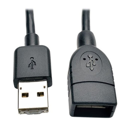 Tripp Lite U052-06N-OTG-AM Data Transfer Cable