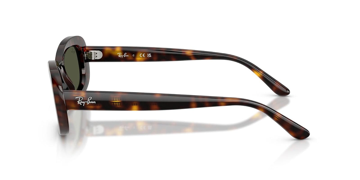Ray-Ban Ray-Ban Evolution Gafas Unisex adulto