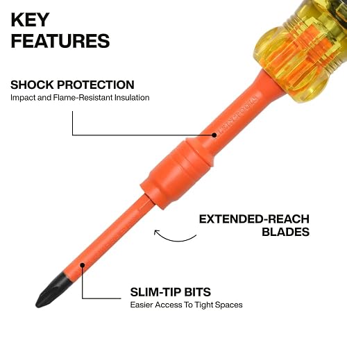 KLEIN TOOLS 32306INS | Desarmador Aislado 6 En 1 | 1000V | Bloqueo De Punta | Trabaja con más seguridad usando este desarmador aislado 6 en 1 de 1000V, con bloqueo y puntas en el mango.