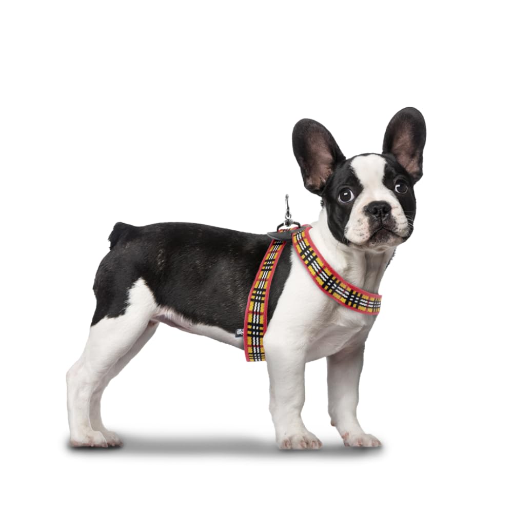 Fancy Pets Arnés Berrydog Color Rojo Tamaño Chico para Perro