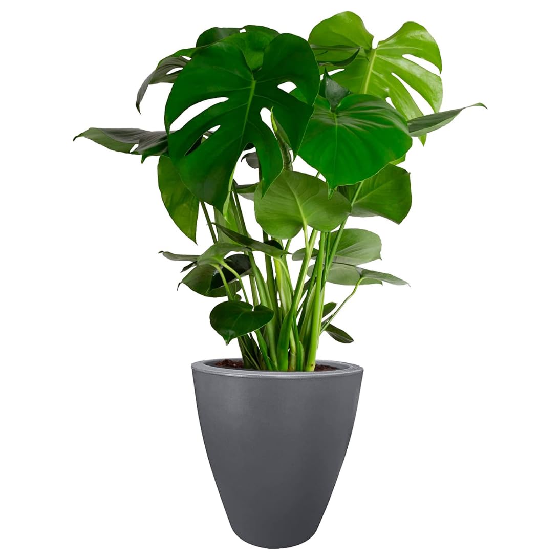 Elly Décor - Maceta de plástico de 17 Pulgadas para jardín con Drenaje, Redonda Grande, Ligera y Extremadamente Duradera, Maceta de plástico para Interior/Exterior, 17 x 15 x 9 Pulgadas, Color Gris