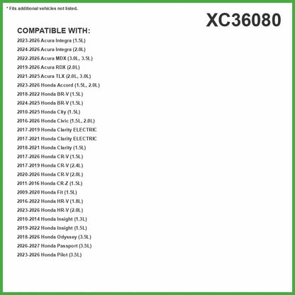 Ecogard XC36080 - Filtro de aire de cabina premium, para automóvil
