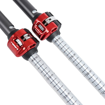 MSR DynaLock Explore - Bastones de Aluminio (3 Secciones)